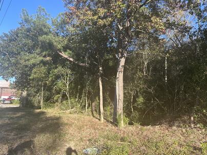 Photo 1 of 4 : 220 Highway 52