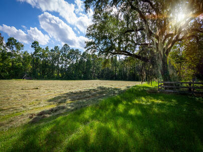 Photo 1 of 25 : Home on Tuten Road