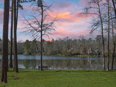 Photo 1 of 25 : 1 Santee Lakes Court