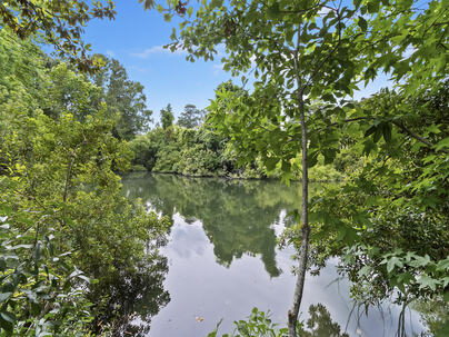 Photo 1 of 25 : 1245 Lakefront Drive Drive