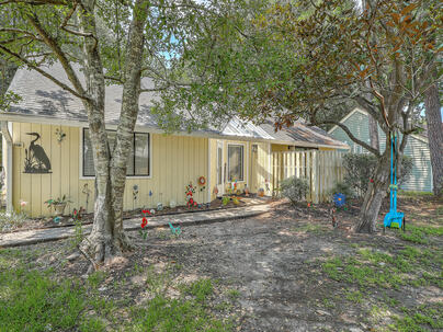 Photo 1 of 25 : 1116 Daffodil Lane