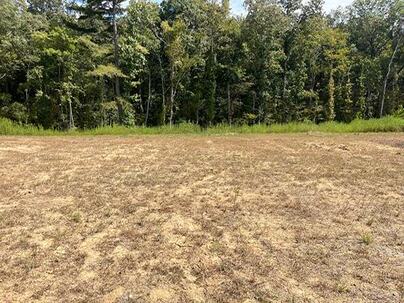 Photo 1 of 25 : 452 Tulip Poplar Drive