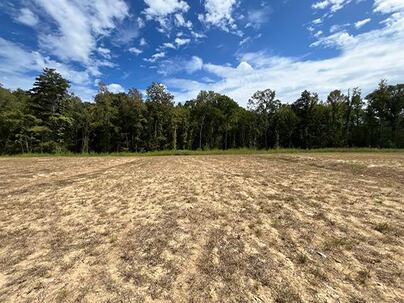 Photo 1 of 25 : 456 Tulip Poplar Drive