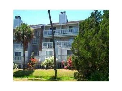 Photo 1 of 25 : 280 Driftwood Lane