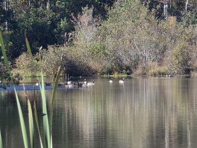 Photo 1 of 25 : 3644 Lake Marston Drive