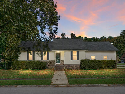 Photo 1 of 25 : 401 Terrier Road