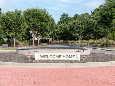 Photo 1 of 19 : 173 Cypress Forest Drive