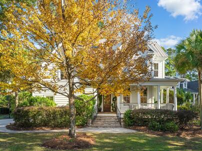 Photo 1 of 25 : 268 Marsh Ibis Trail