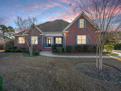 Photo 1 of 25 : 1007 Mt Whitney Drive