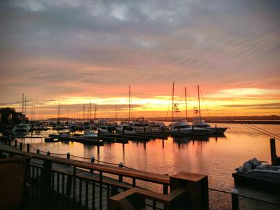 Photo 1 of 25 : 1918 Marsh Oak Lane