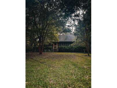 Photo 1 of 25 : 1509 Palmetto Fort Drive