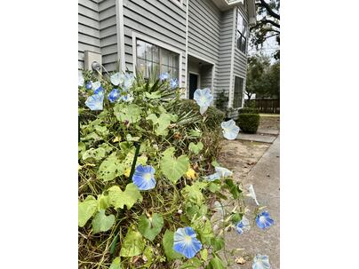 Photo 1 of 15 : 890 Sea Gull Drive