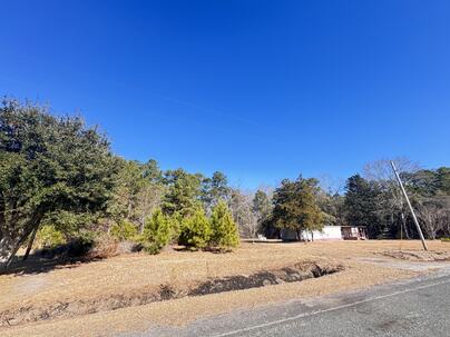 Photo 1 of 12 : 6080 Cayce Road