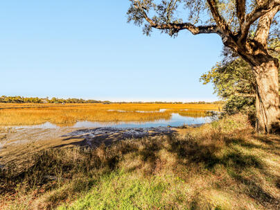 Photo 1 of 25 : 1457 Patterson Avenue