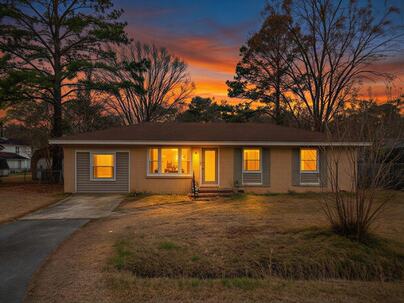 Photo 1 of 25 : 115 Kathryn Drive