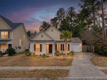 Photo 1 of 25 : 119 Patriot Lane