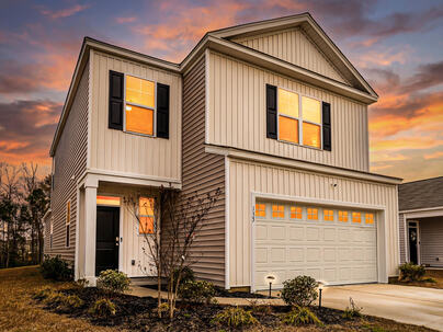 Photo 1 of 25 : 155 Ivory Shadow Road