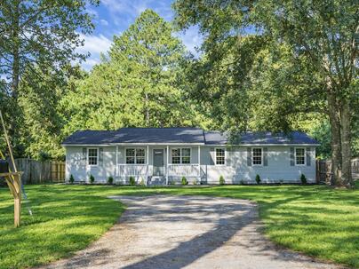 Photo 1 of 20 : 106 Harriet Tubman Lane