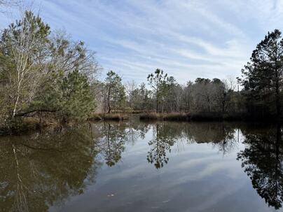 Photo 1 of 11 : 5191 Savannah Highway