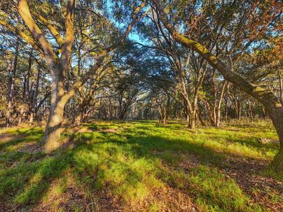 Photo 1 of 25 : Home on King Rail Lane