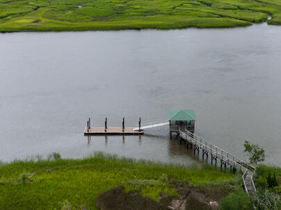 Photo 1 of 25 : 115 Wappoo Landing Circle