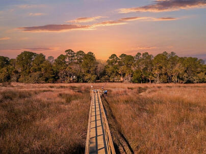 Photo 1 of 25 : 1641 Sewee Fort Road