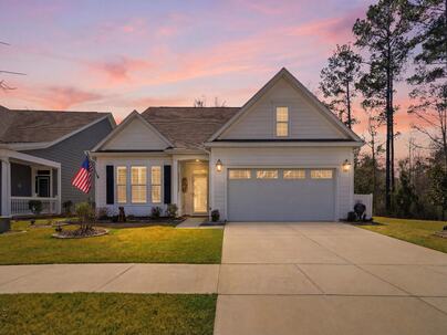 Photo 1 of 25 : 218 River Martin Court