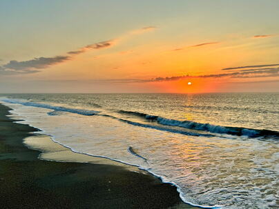 Photo 1 of 25 : 1300 Ocean Boulevard, #140