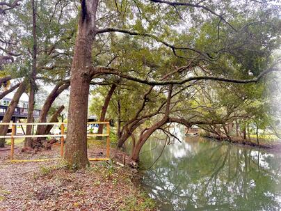 Photo 1 of 14 : 1578 Periwinkle Drive