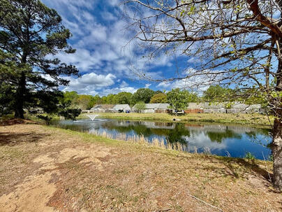 Photo 1 of 25 : 1424 Amanda Park Lane