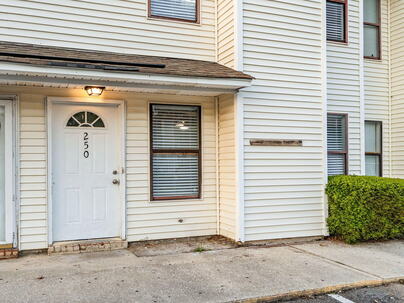 Photo 1 of 17 : 250 Pine Shadow Drive