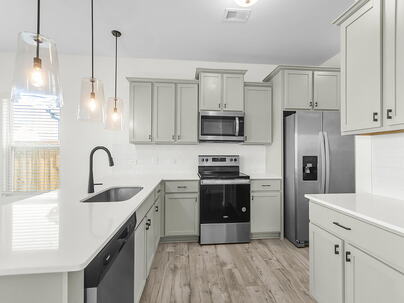 Photo 1 of 25 : 658 Snow Owl Drive