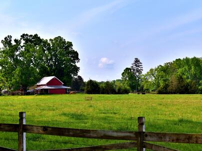 Photo 1 of 7 : 450 Clem Road