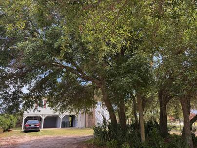 Photo 1 of 25 : 1904 Palmetto Boulevard