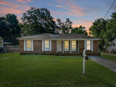 Photo 1 of 25 : 204 Palmetto Street