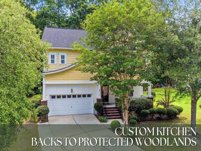Photo 1 of 25 : 119 Blackwater Drive