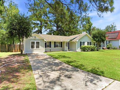 Photo 1 of 25 : 405 Amberjack Way