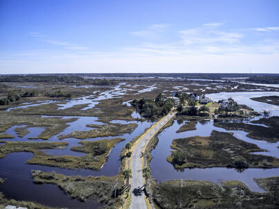 Photo 1 of 25 : 545 Towles Crossing Drive