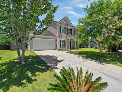 Photo 1 of 25 : 436 Blue Jasmine Lane