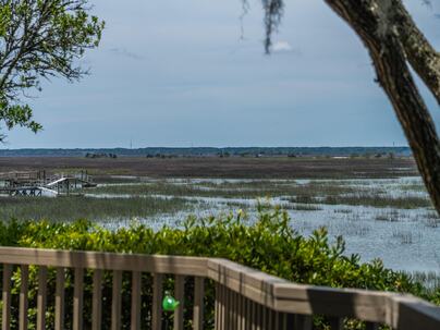 Photo 1 of 25 : 12 Marsh Island Lane