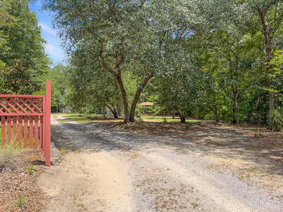 Photo 1 of 25 : 349 Bird Dog Lane