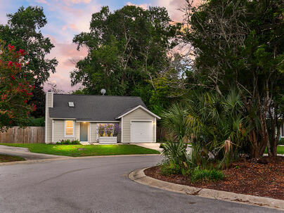 Photo 1 of 25 : 1295 Lake Mallard Boulevard