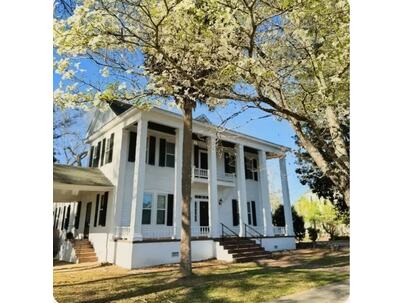 Photo 1 of 25 : 291 Edward Street