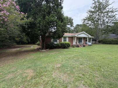 Photo 1 of 9 : 102 Ballentine Street