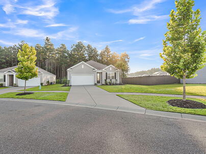 Photo 1 of 25 : 207 Greenwich Drive
