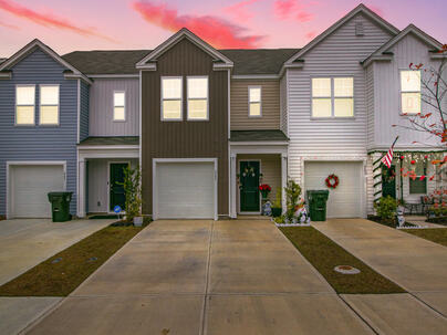 Photo 1 of 25 : 245 Blue Haw Drive