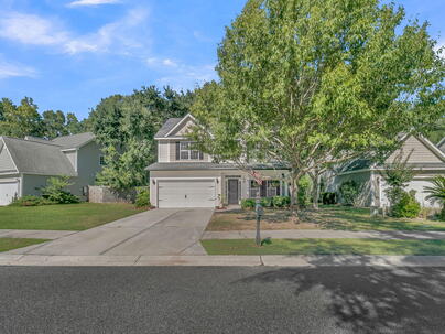 Photo 1 of 25 : 1516 Maple Grove Drive