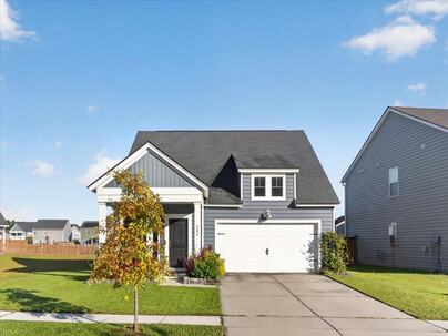 Photo 1 of 25 : 206 Pink Azalea Street