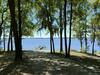 Photo of 2343 Princess Pond Road