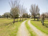 Photo of 16 Baldwin Lane, Green Pond, SC 29446